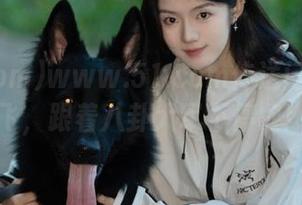 www.51.com传送门：带你飞，跟着八卦大军不停歇！