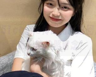 51cg.me传送门：这回瓜太巨，无奈只能拍照留念！