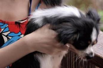 沉浸在八卦中，91黑料链接带你迈进瓜田