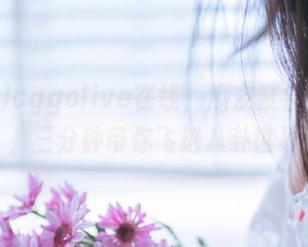 cggolive在线，瓜友聚会进行中，三分钟带你飞进八卦世界
