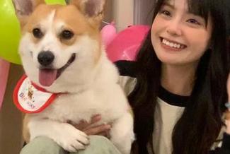 热门评论在登录hl黑料官网时整齐划一，大家的八卦纪律真让人钦佩！