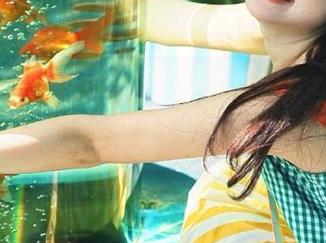 别说我直率，www.zzzttt带来的那些事儿，总让我在键盘上打个不停。