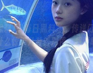 “每日黑料”：传送门这次又开到什么惊天八卦？别停，我要瞧瞧！