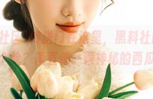 传送门在这里，黑料社区究竟是个啥？简直像一颗神秘的西瓜！